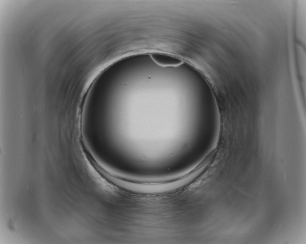 X0000098221524200804241332