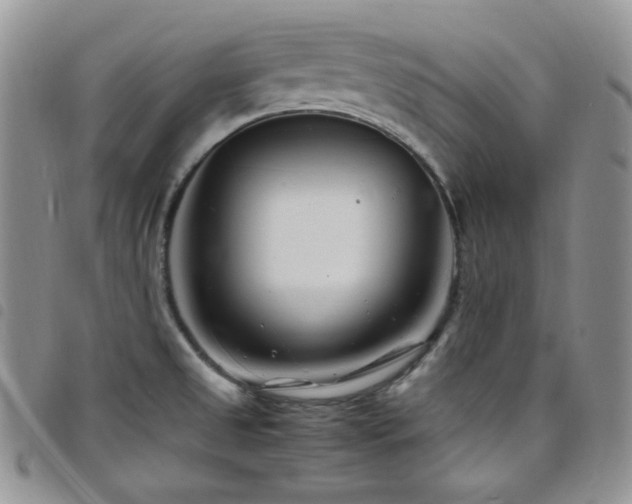 X0000098221525200804241332