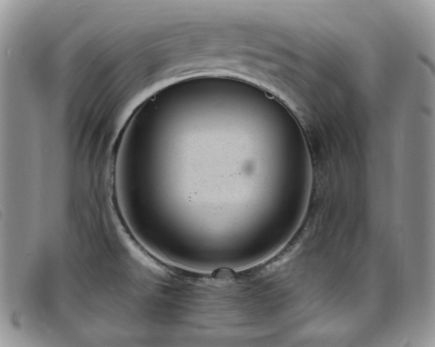 X0000098221526200804241332