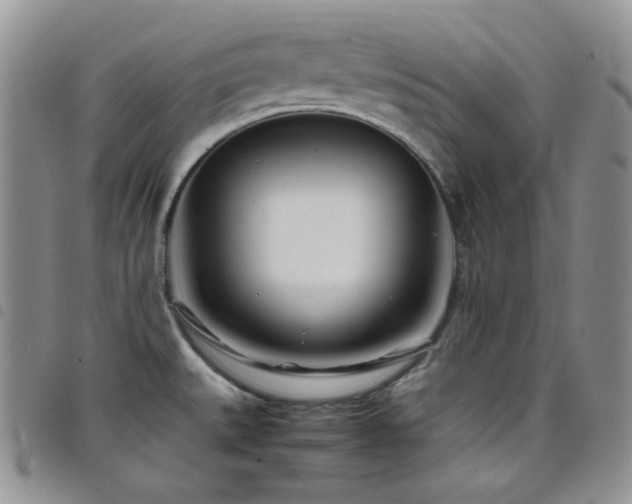 X0000098221527200804241332