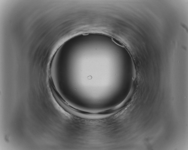 X0000098221528200804241332