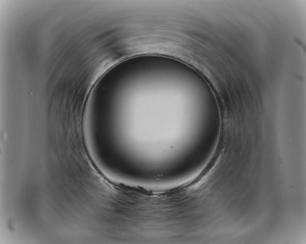 X0000098221529200804241332