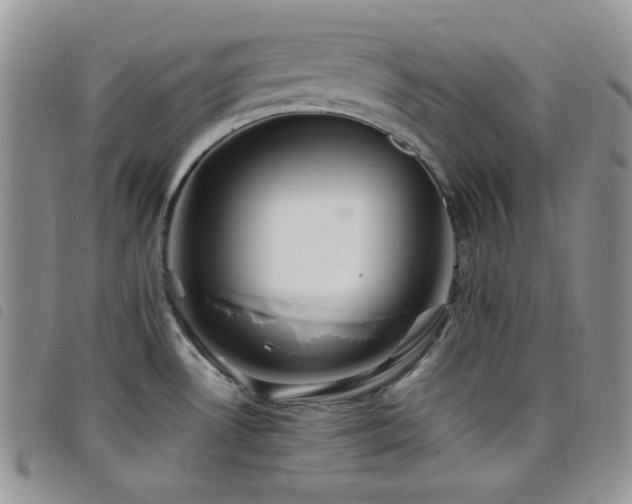 X0000098221530200804241332