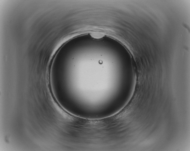X0000098221531200804241332