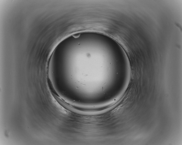 X0000098221532200804241332