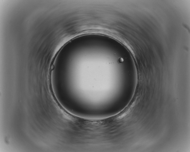 X0000098221533200804241332