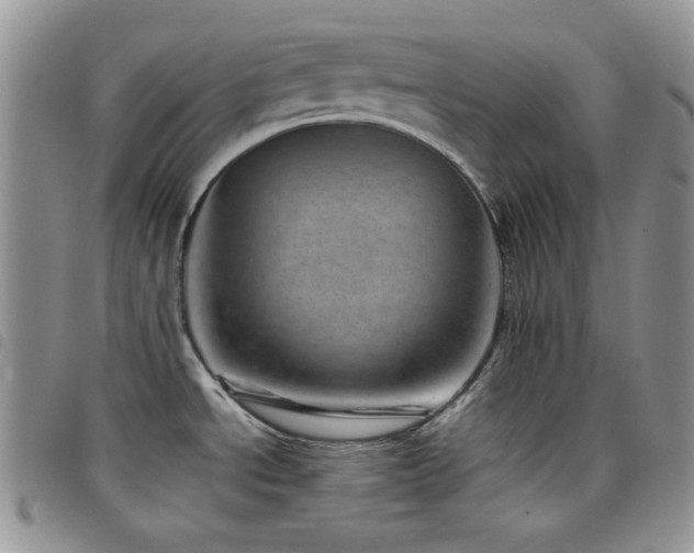 X0000098221534200804241332