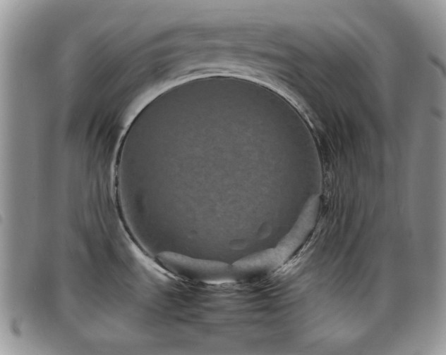 X0000098221535200804241332