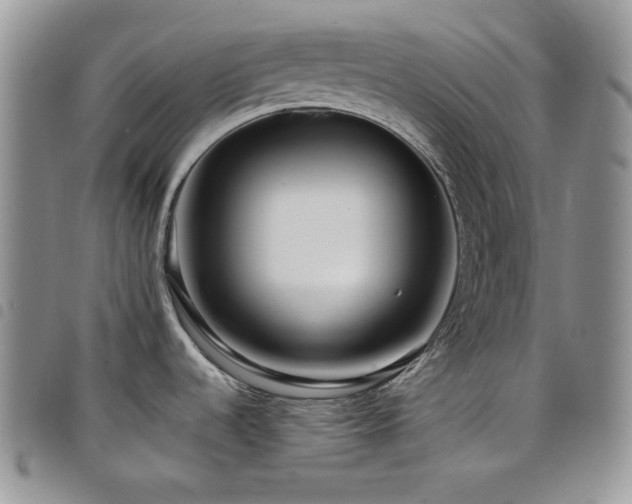 X0000098221536200804241332