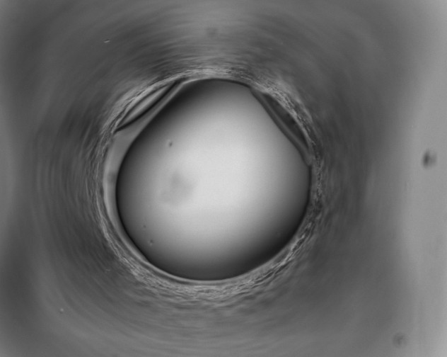 X0000098220001200805011245