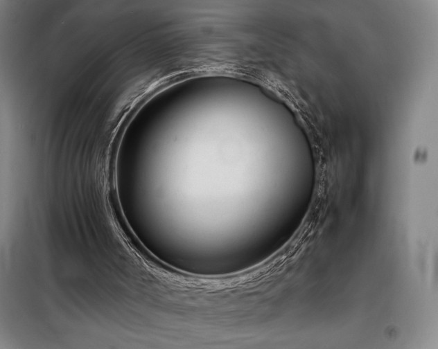 X0000098220002200805011245