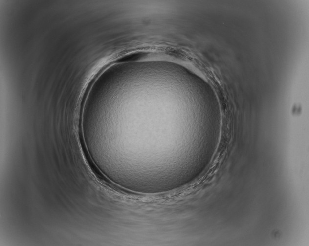 X0000098220003200805011245