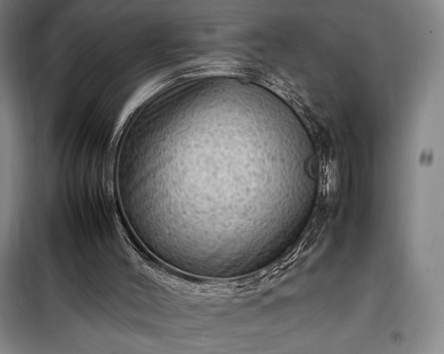 X0000098220004200805011245