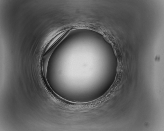 X0000098220005200805011245