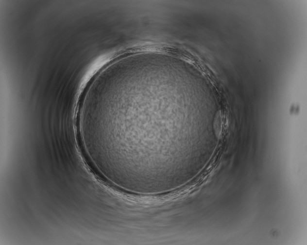 X0000098220006200805011245