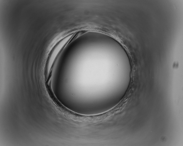 X0000098220007200805011245