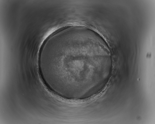 X0000098220008200805011245