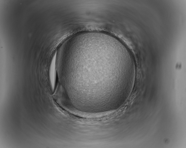 X0000098220009200805011245