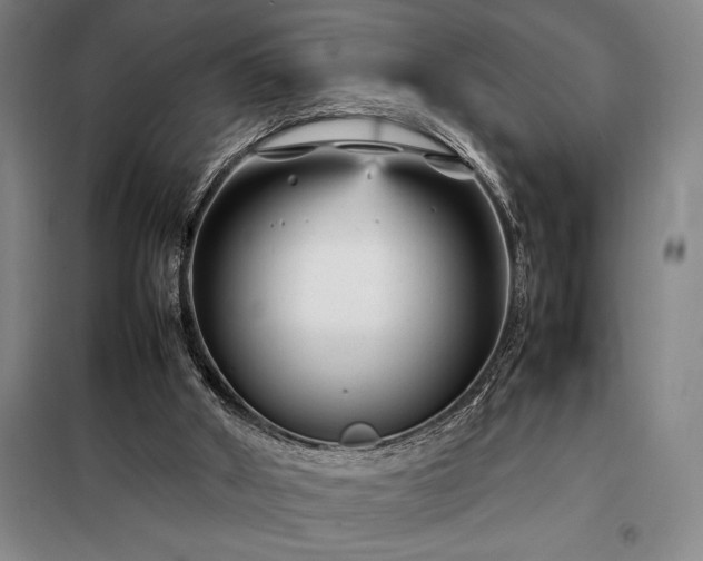 X0000098220010200805011245