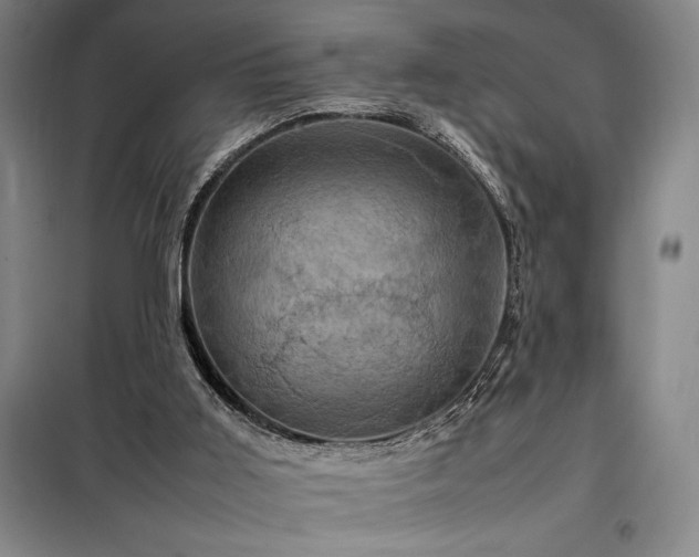 X0000098220011200805011245