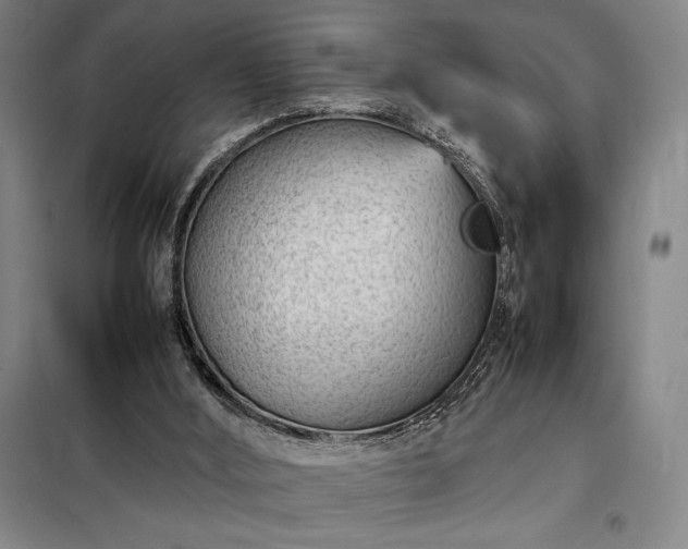 X0000098220012200805011245