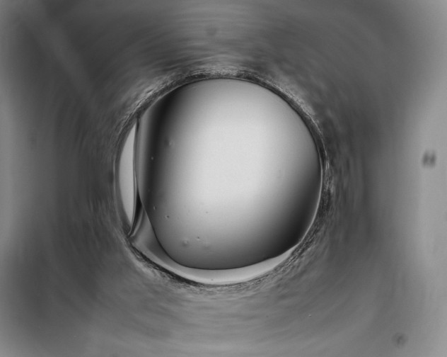 X0000098220013200805011245