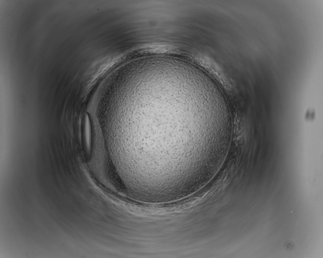 X0000098220014200805011245