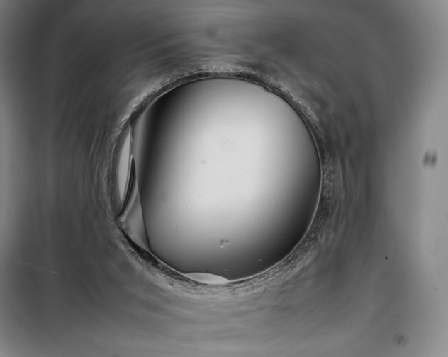 X0000098220015200805011245