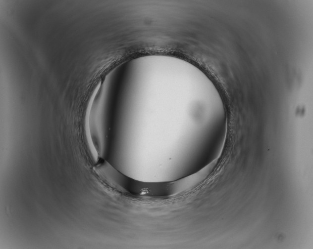 X0000098220017200805011245