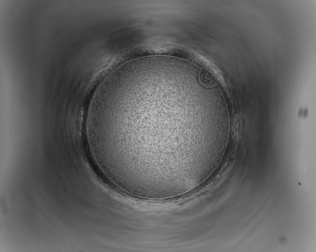 X0000098220018200805011245