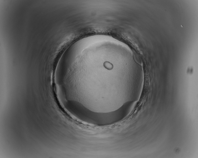 X0000098220019200805011245