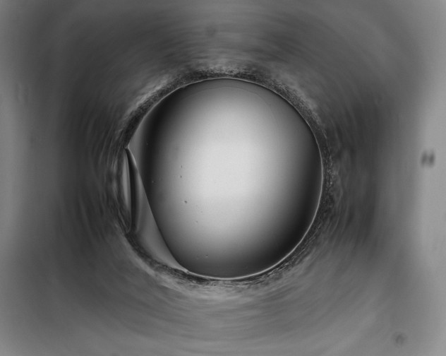 X0000098220020200805011245