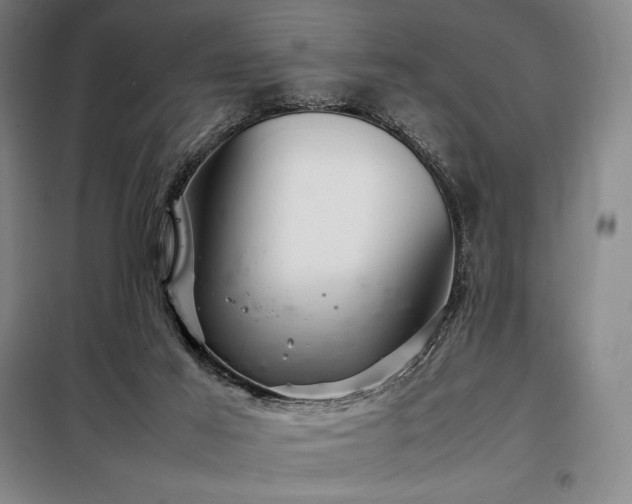 X0000098220021200805011245