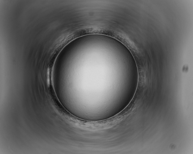 X0000098220022200805011245