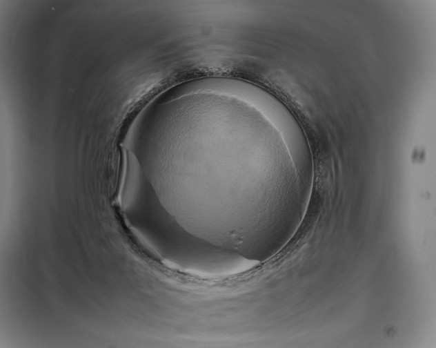 X0000098220023200805011245