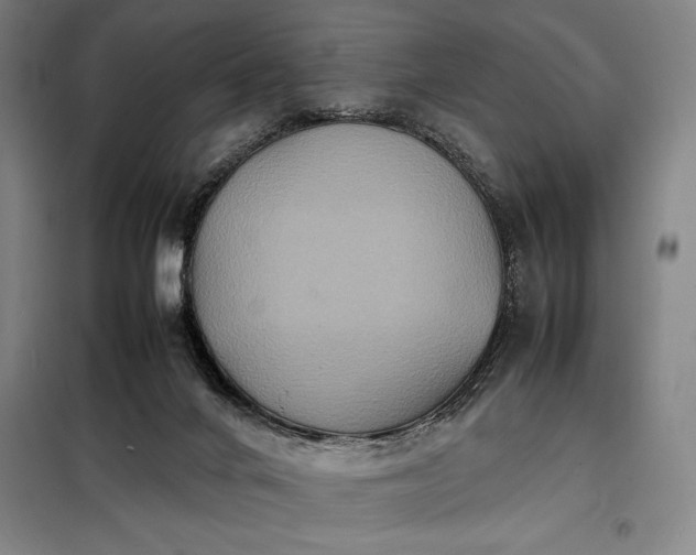 X0000098220024200805011245