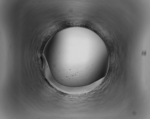 X0000098220025200805011245