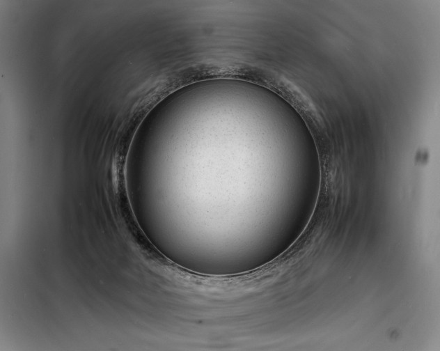 X0000098220026200805011245