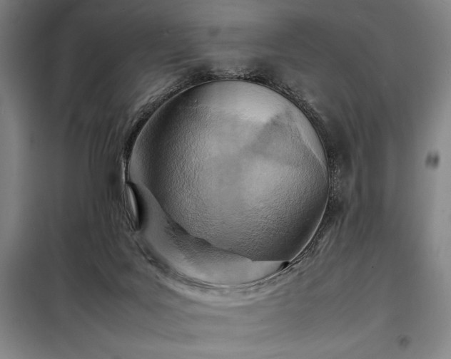 X0000098220027200805011245