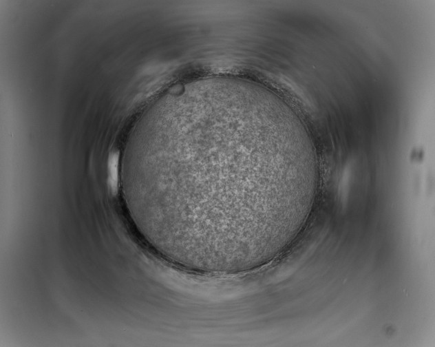 X0000098220028200805011245