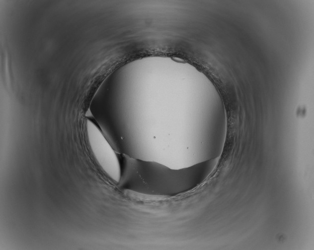 X0000098220029200805011245