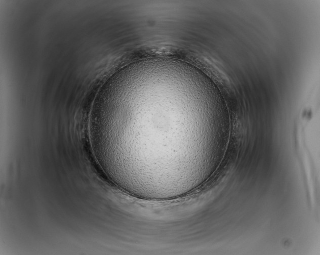 X0000098220030200805011245