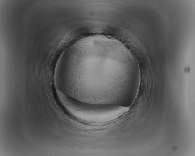 X0000098220031200805011245