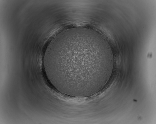 X0000098220032200805011244