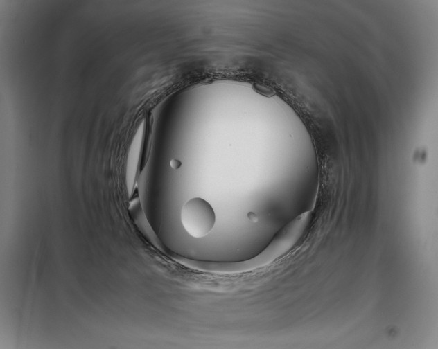 X0000098220033200805011244