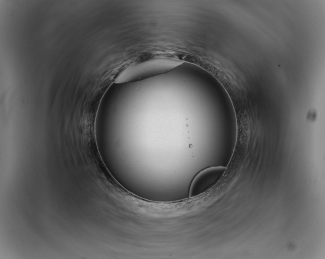 X0000098220034200805011244