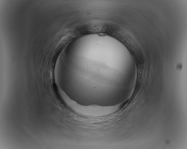 X0000098220035200805011244