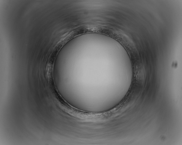 X0000098220036200805011244