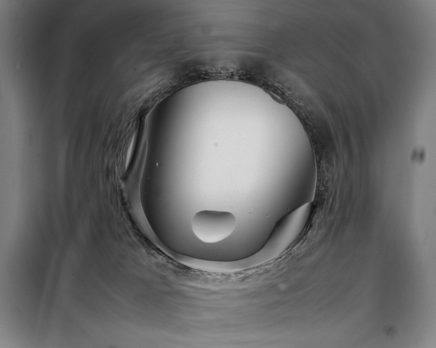 X0000098220037200805011244