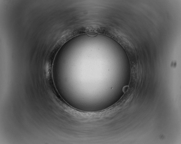 X0000098220038200805011244